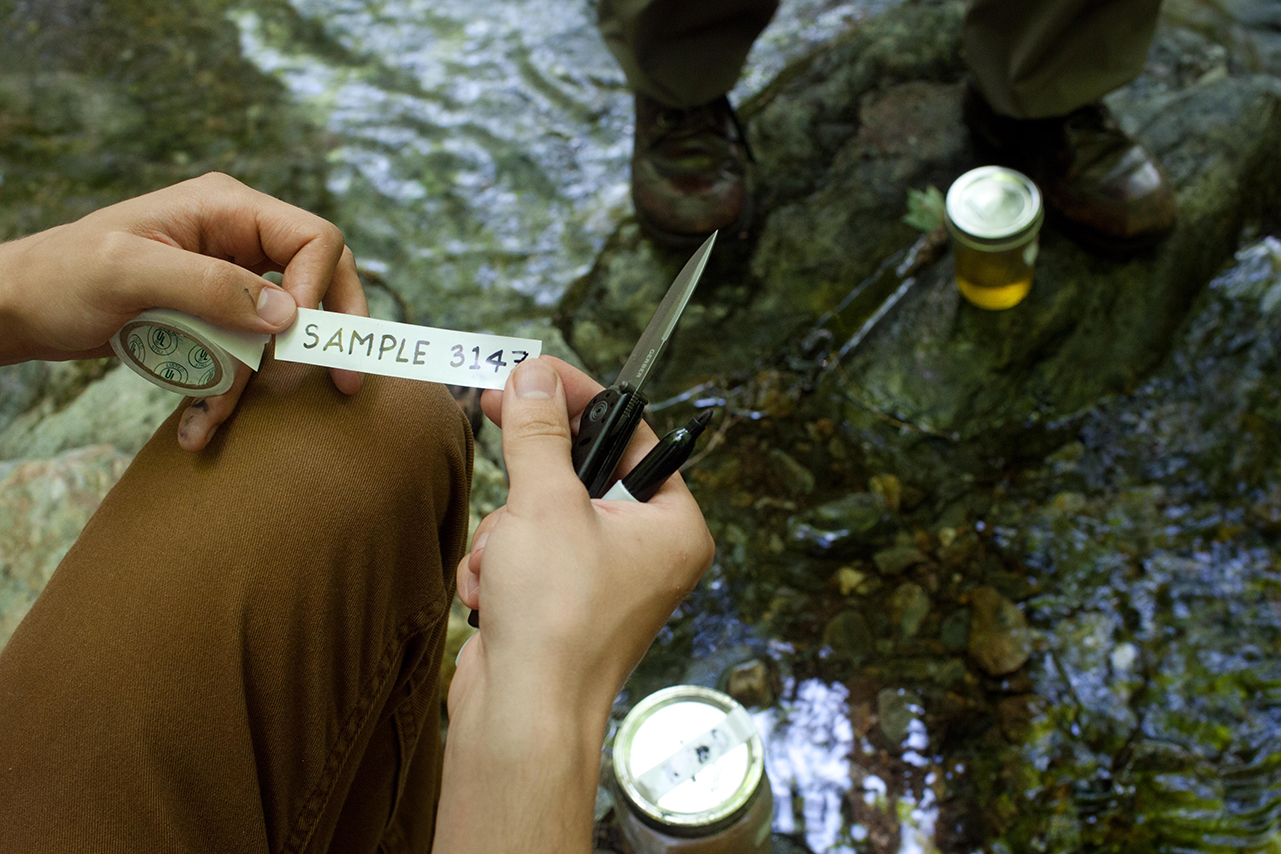 Camps The Natural History Museum
